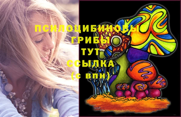 каннабис Белокуриха