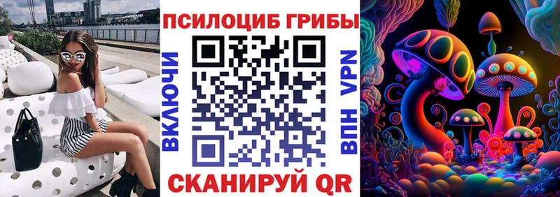 Псилоцибиновые грибы прущие грибы  Урус-Мартан 